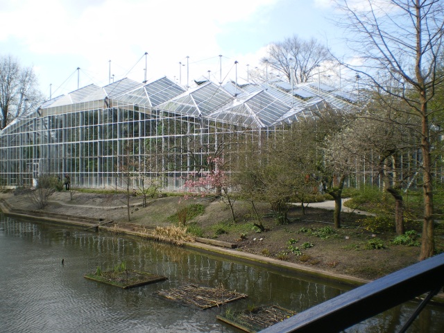 Hortus Bonanicus tropical greenhouse, Amsterdam